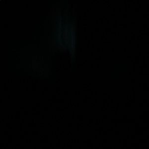 Meet your Posher, Lilian